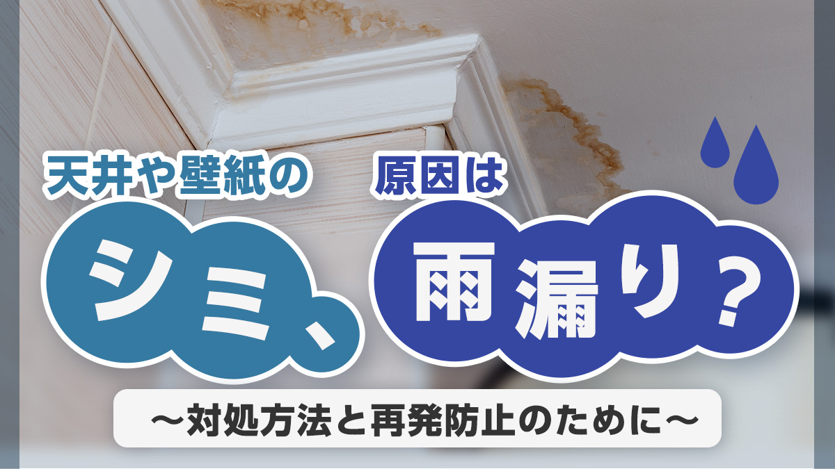 天井や壁紙のシミ、原因は雨漏り？対処方法と再発防止のために。