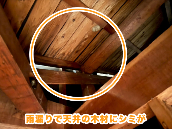 焼津市_T様_ガルバ小波雨漏り