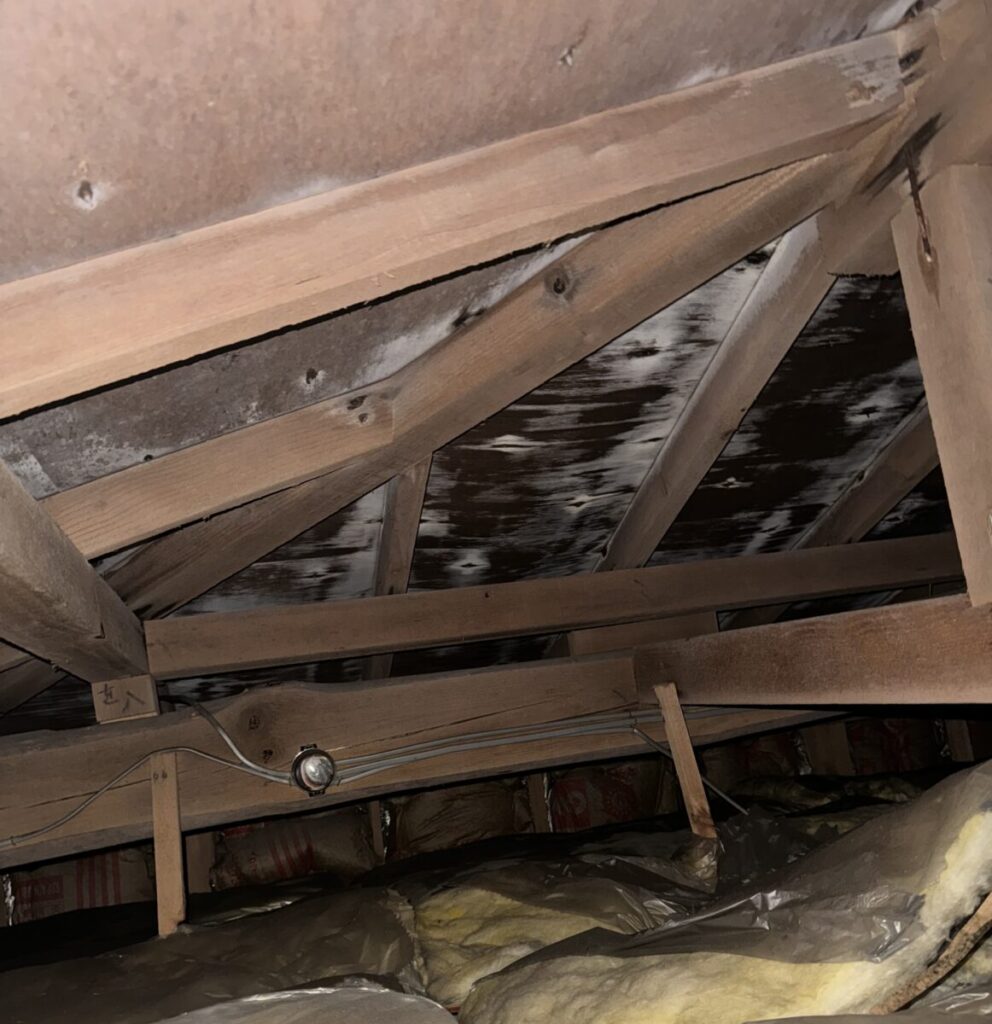 静岡県東伊豆町 屋根葺き替え工事 "瓦棒"から"シルキーG2"へ葺き替えました