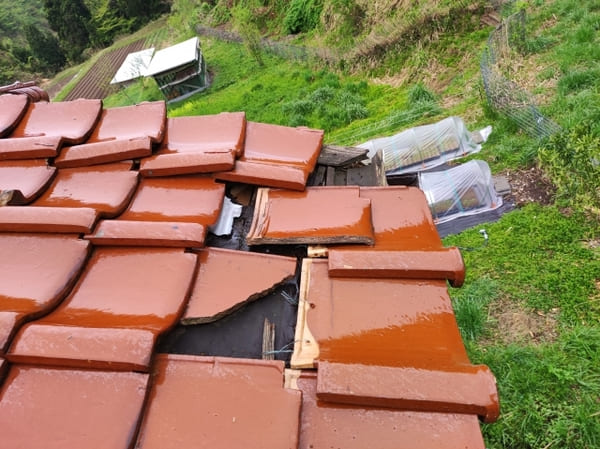 静岡県焼津市_瓦屋根復旧