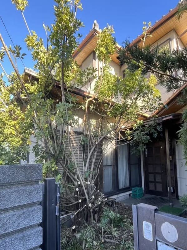 静岡県焼津市_軒天補修_庭木伐採前